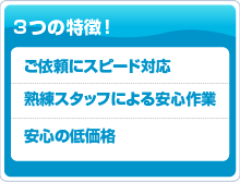 3つの特徴